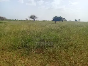 10 Hectares De Terre Agricole Vers Diogo - Darou Khoudoss