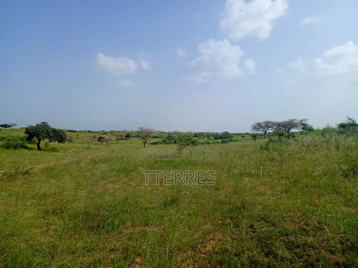10 Hectares De Terre Agricole Vers Diogo - Darou Khoudoss