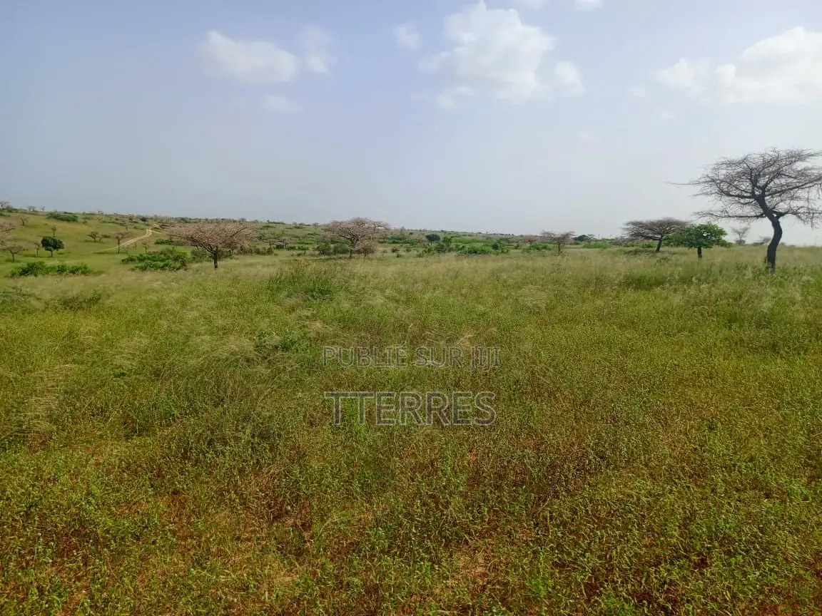 10 Hectares De Terre Agricole Vers Diogo - Darou Khoudoss