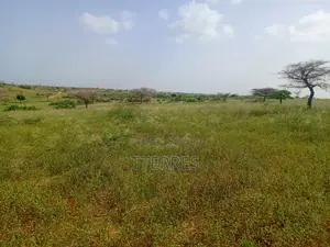 10 Hectares De Terre Agricole Vers Diogo - Darou Khoudoss