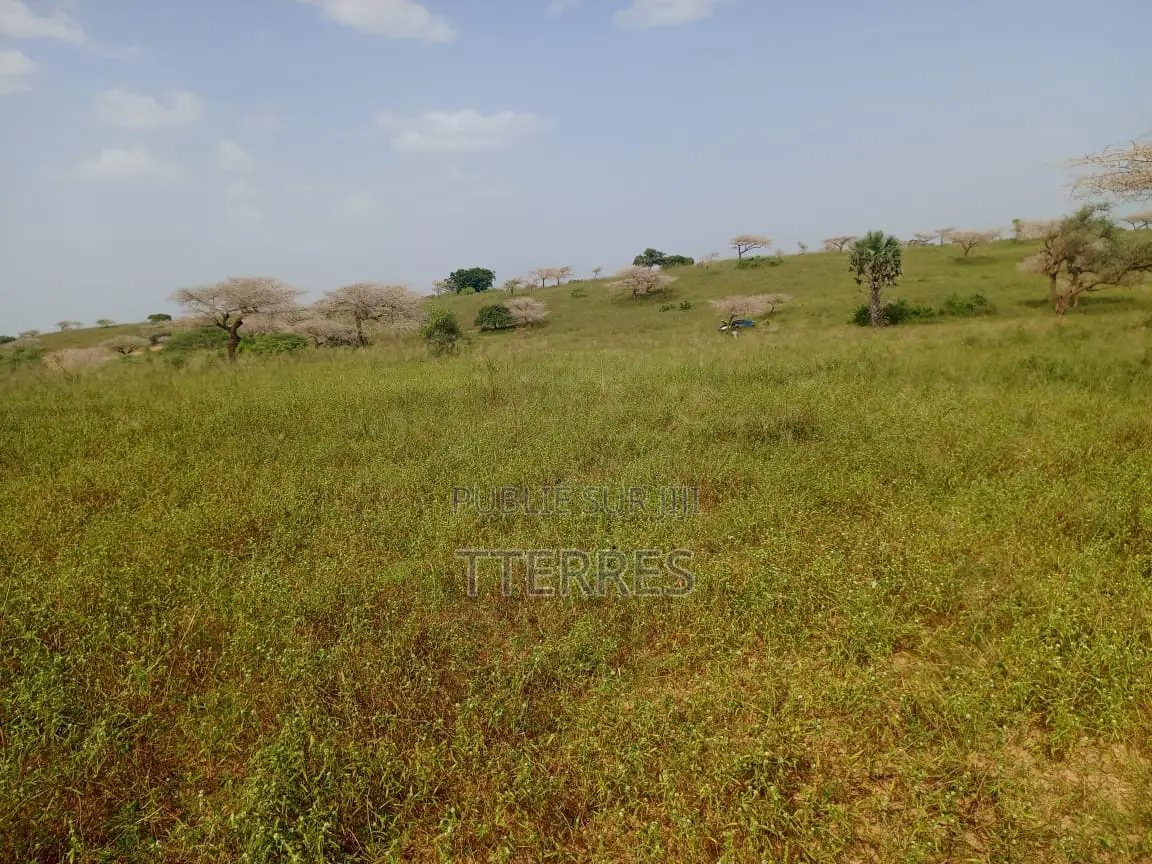 10 Hectares De Terre Agricole Vers Diogo - Darou Khoudoss