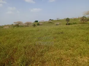 10 Hectares De Terre Agricole Vers Diogo - Darou Khoudoss