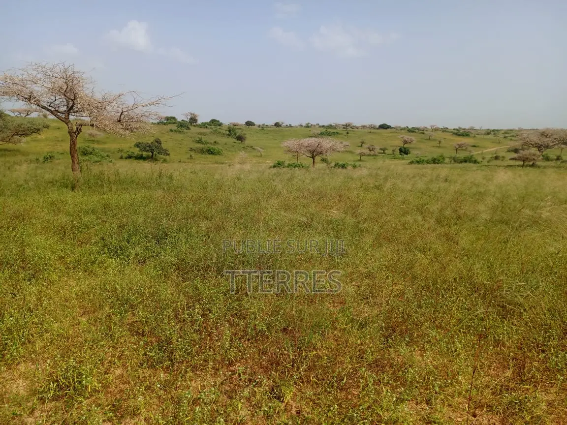 10 Hectares De Terre Agricole Vers Diogo - Darou Khoudoss