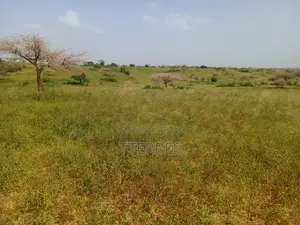 10 Hectares De Terre Agricole Vers Diogo - Darou Khoudoss