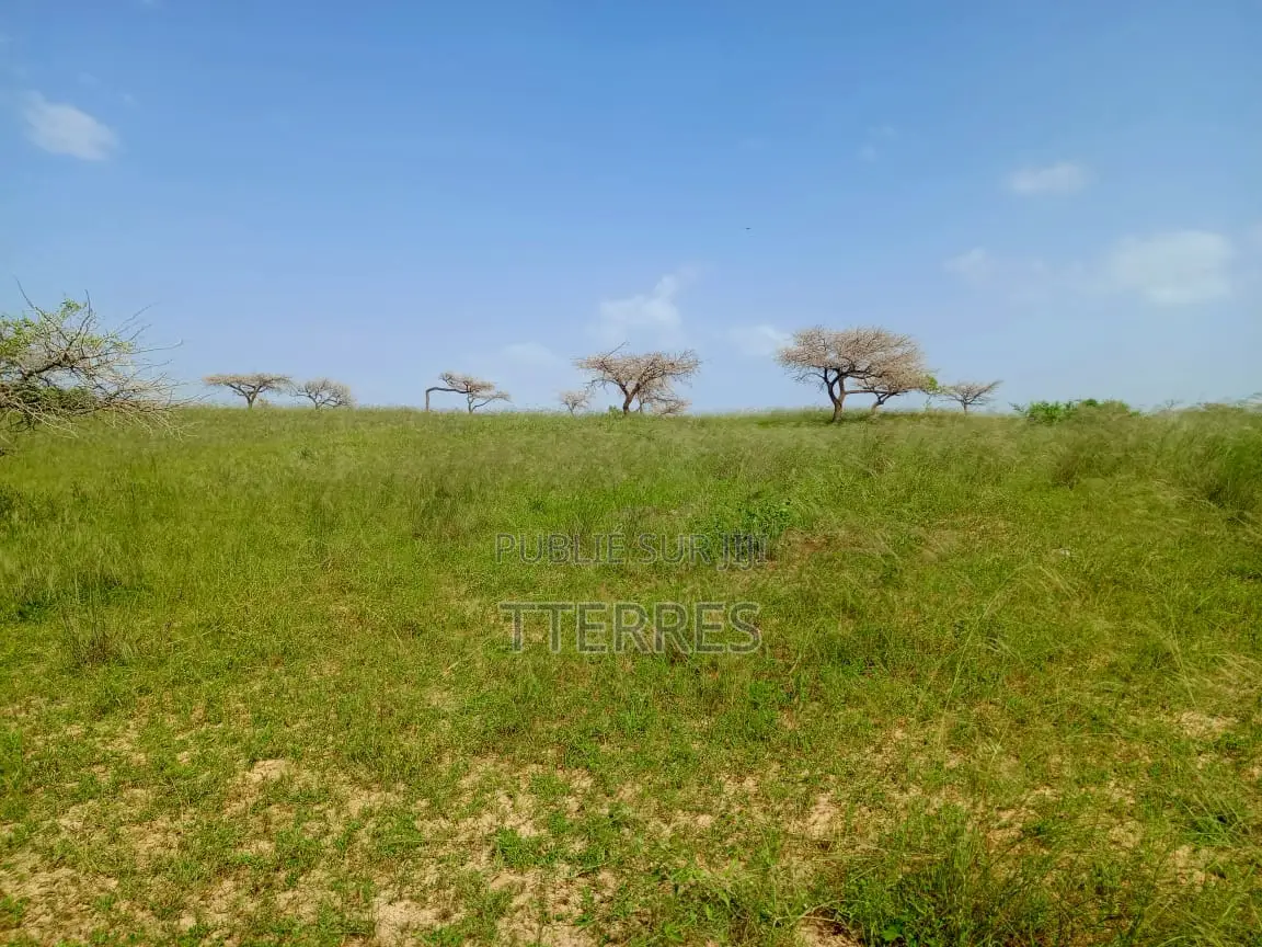 10 Hectares De Terre Agricole Vers Diogo - Darou Khoudoss