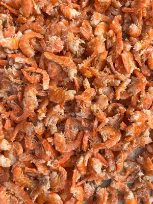 Crevettes Seiche