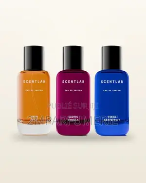 Pack 3 Parfums SCENTLAB 50 Ml – 15 000 F