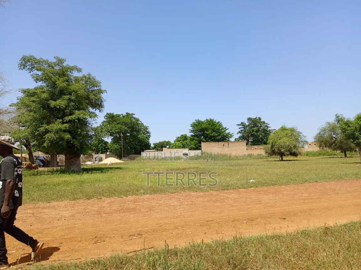 Terrain De 8.091 M2 Vers Keur Samba Kane - Baba Garage