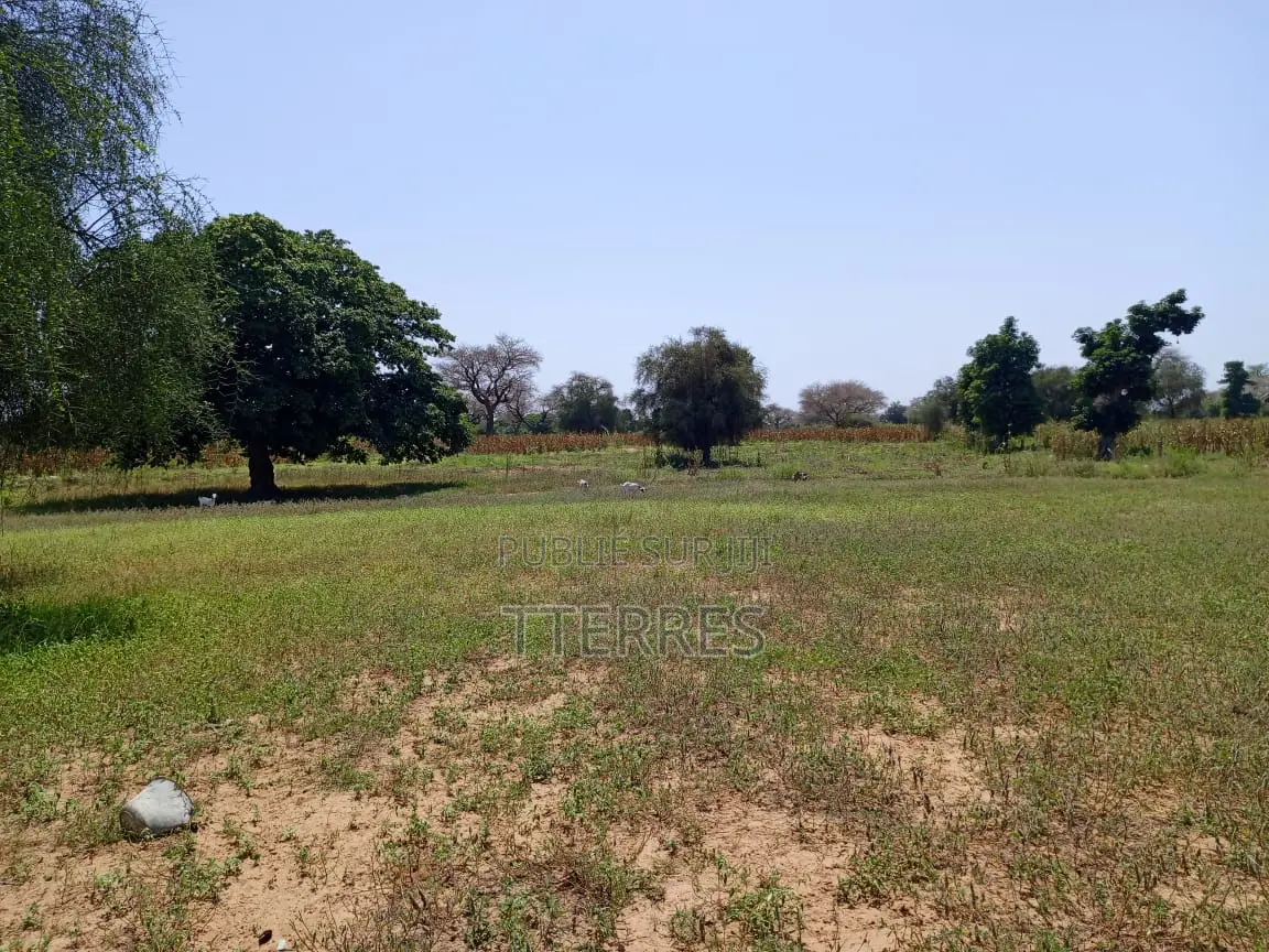 Terrain De 8.091 M2 Vers Keur Samba Kane - Baba Garage
