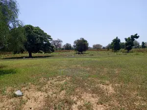 Terrain De 8.091 M2 Vers Keur Samba Kane - Baba Garage
