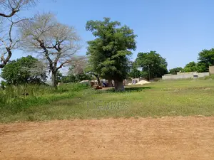 Terrain De 8.091 M2 Vers Keur Samba Kane - Baba Garage