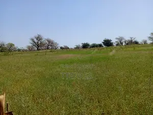 4,87 Hectares De Terre Agricole Vers Keur Samba Kane - Baba Garrage