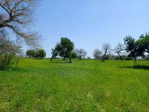 4,87 Hectares De Terre Agricole Vers Keur Samba Kane - Baba Garrage