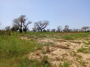 4,87 Hectares De Terre Agricole Vers Keur Samba Kane - Baba Garrage