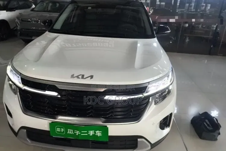 Kia Seltos 2023 Blanc
