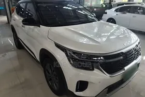 Kia Seltos 2023 Blanc