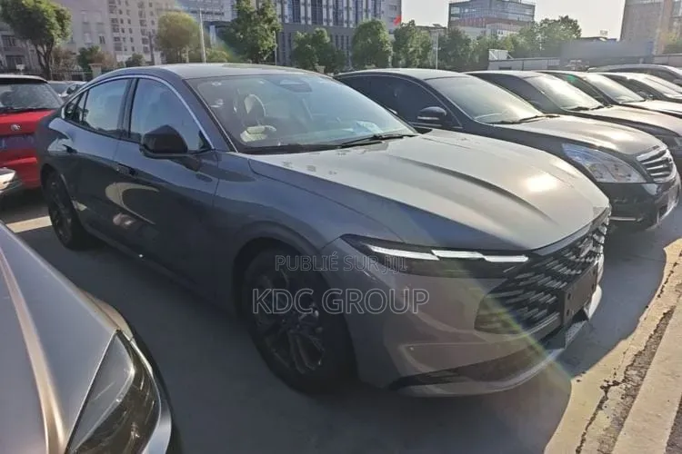 Ford Mondeo 2025 Gris