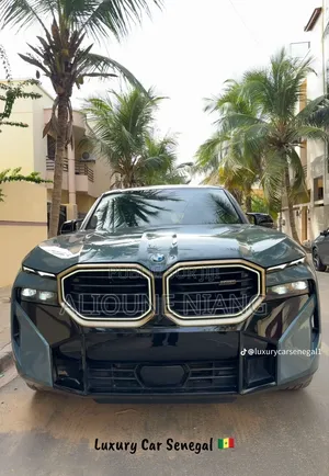 Nouveau BMW XM Base AWD 2023 Vert