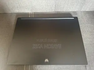 Nouveau Acer Predator Triton 17 X 32GB Intel Core i9 SSD 1T