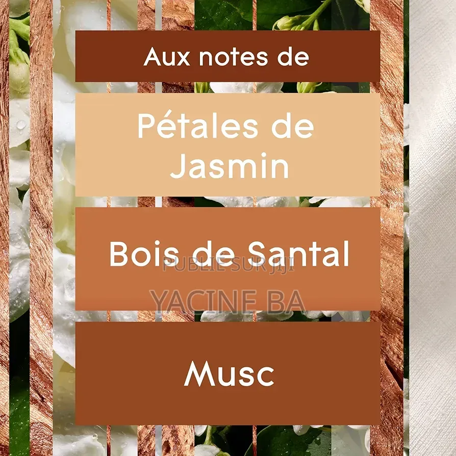 Diffuseur Automatique De La Marque Glade