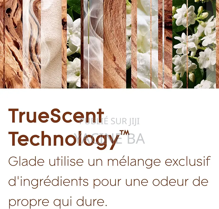 Diffuseur Automatique De La Marque Glade