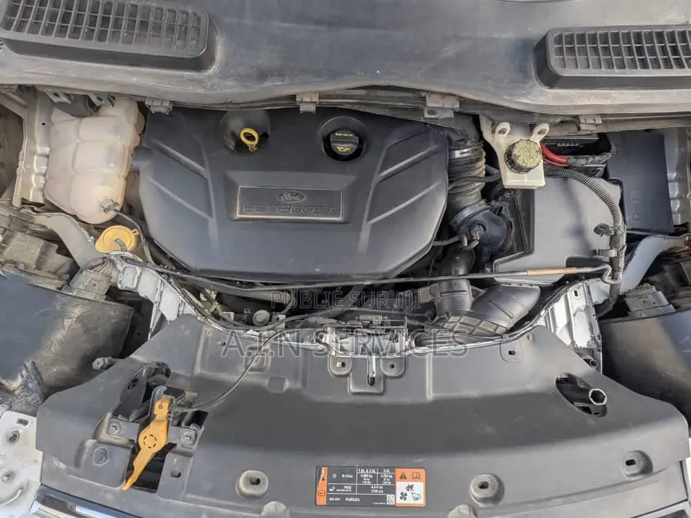Ford Escape 2014 Gris