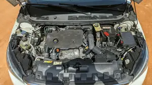 Peugeot 308 2020 Blanc