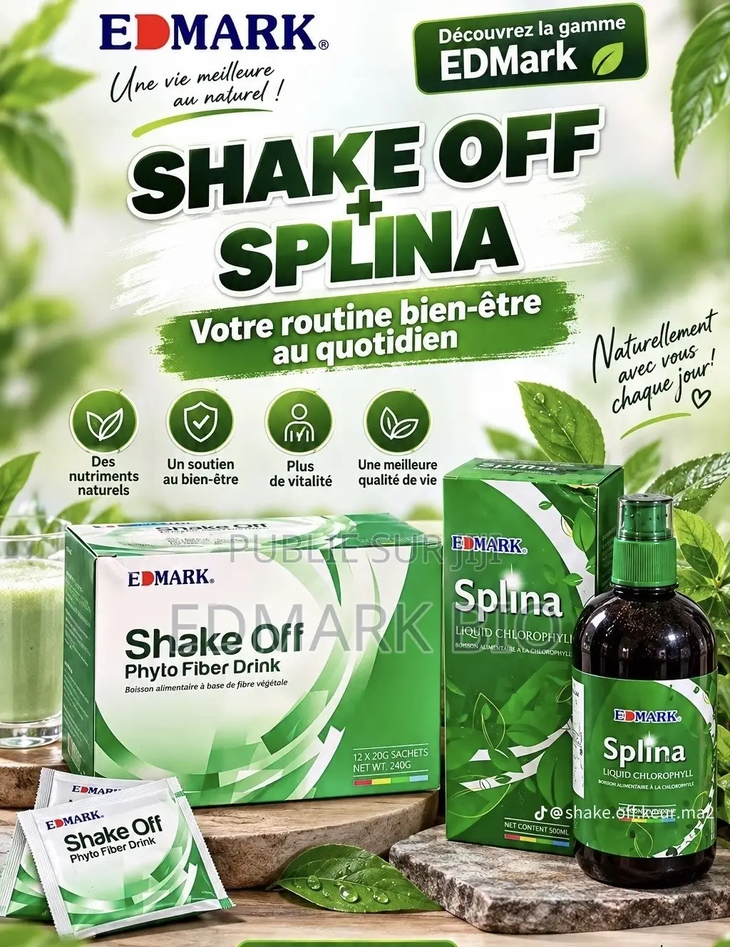 Splina/Shake Off