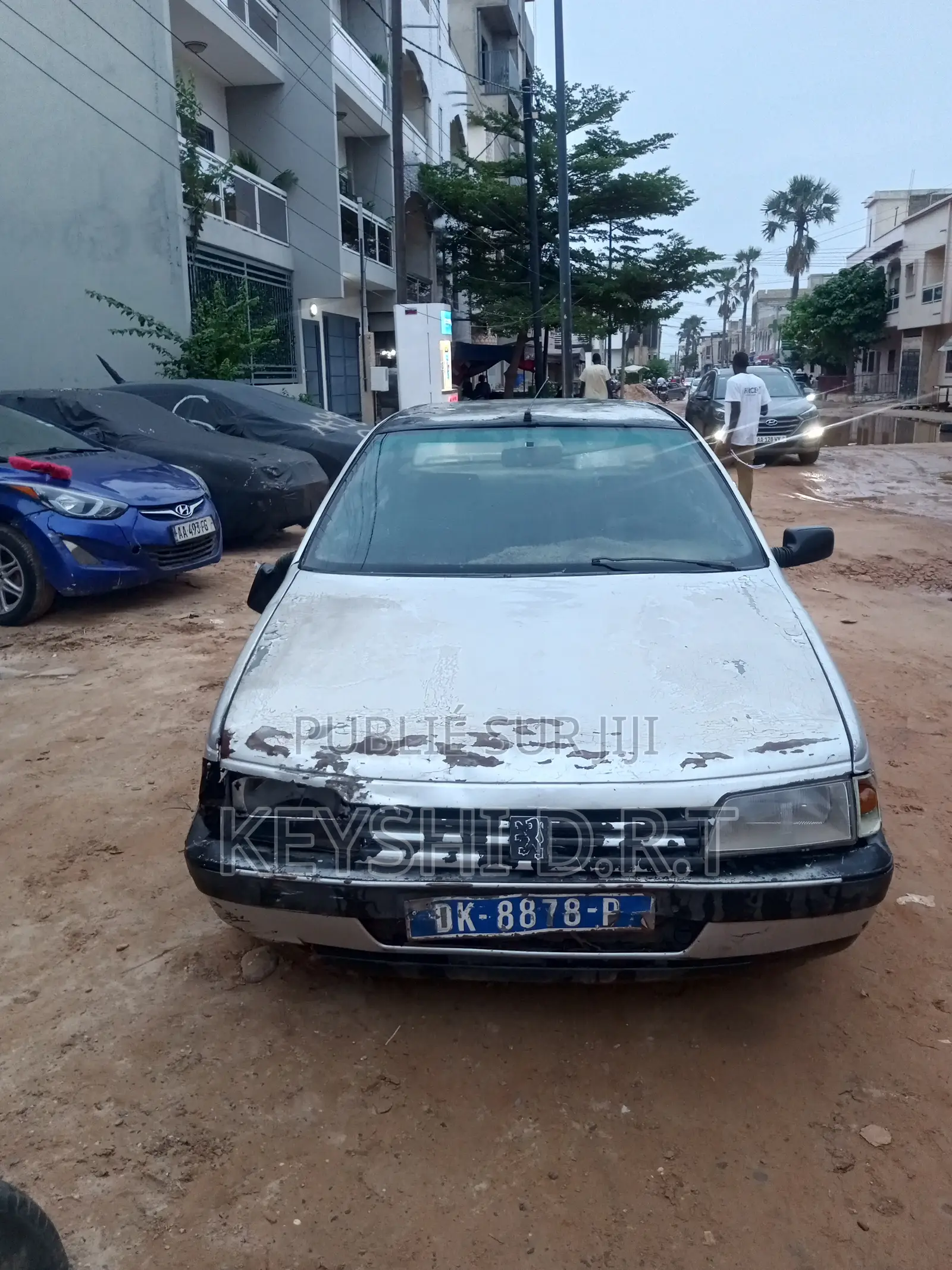 Peugeot 405 2009 Gris
