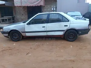 Peugeot 405 2009 Gris