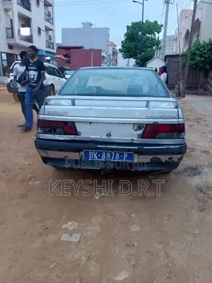 Peugeot 405 2009 Gris