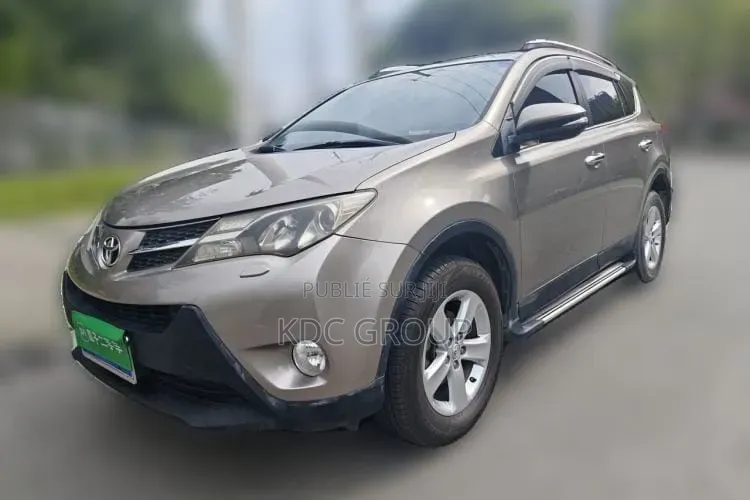 Toyota RAV4 2013 Gris