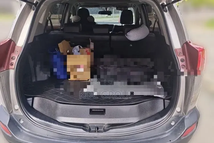 Toyota RAV4 2013 Gris
