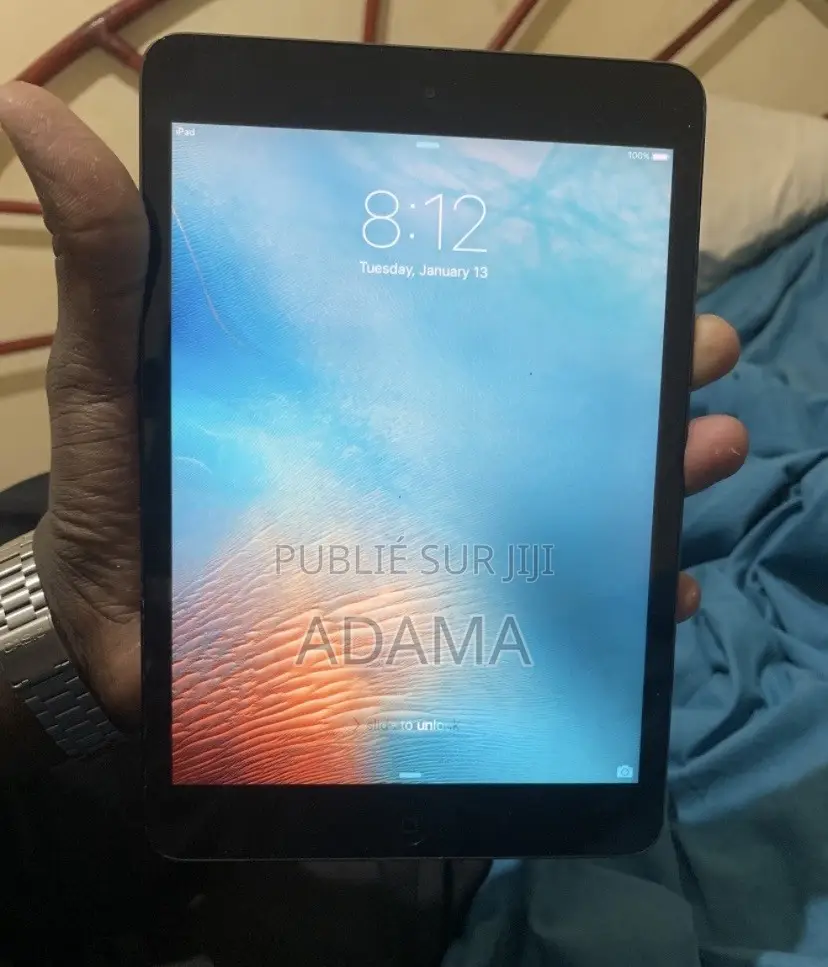 Apple iPad mini 4 16 GB Argenté