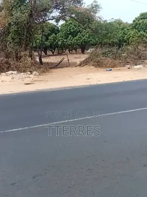 10 Hectares en TF en Bordure De Route, Vers KM 50 Thiès