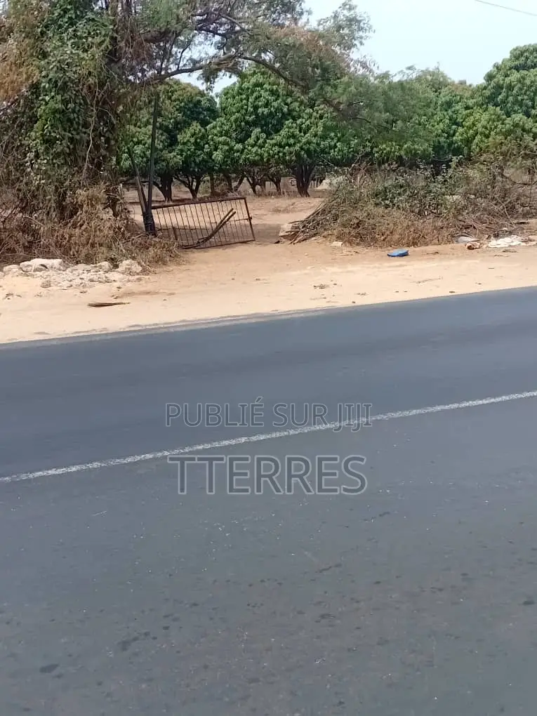 10 Hectares en TF en Bordure De Route, Vers KM 50 Thiès