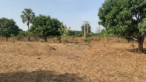 10 Hectares en TF en Bordure De Route, Vers KM 50 Thiès