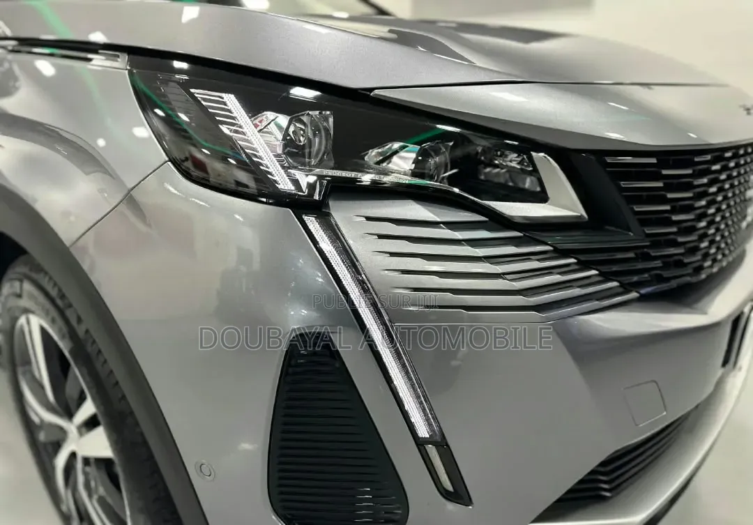 Peugeot 3008 2022 Gris