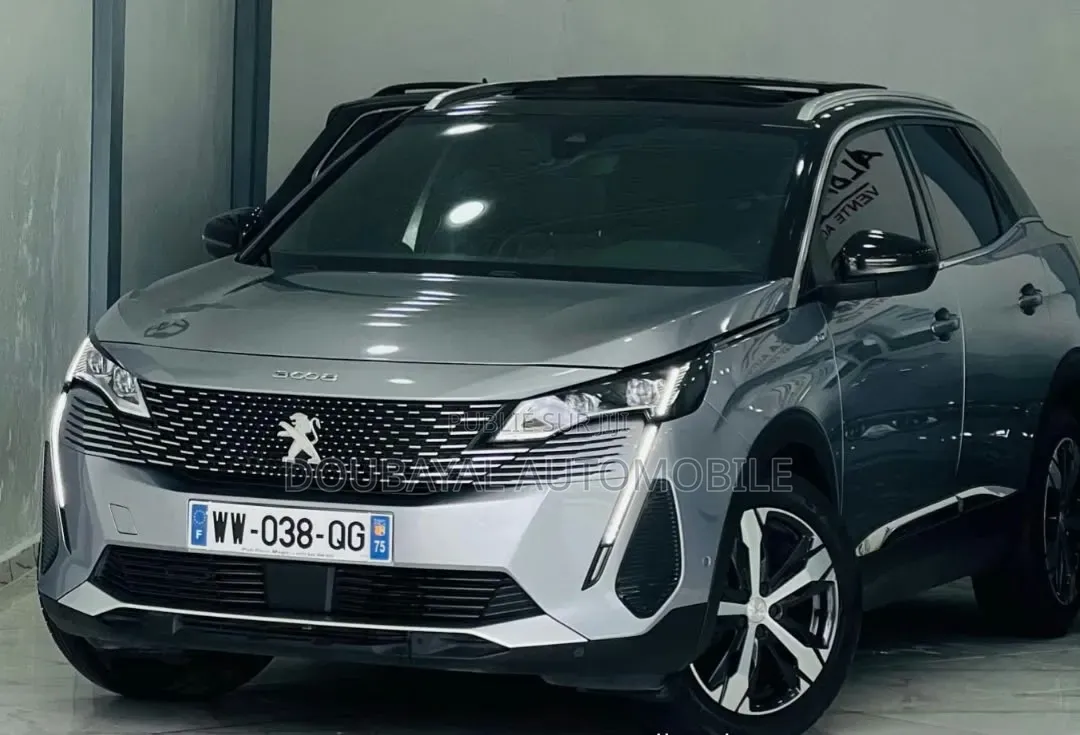 Peugeot 3008 2022 Gris