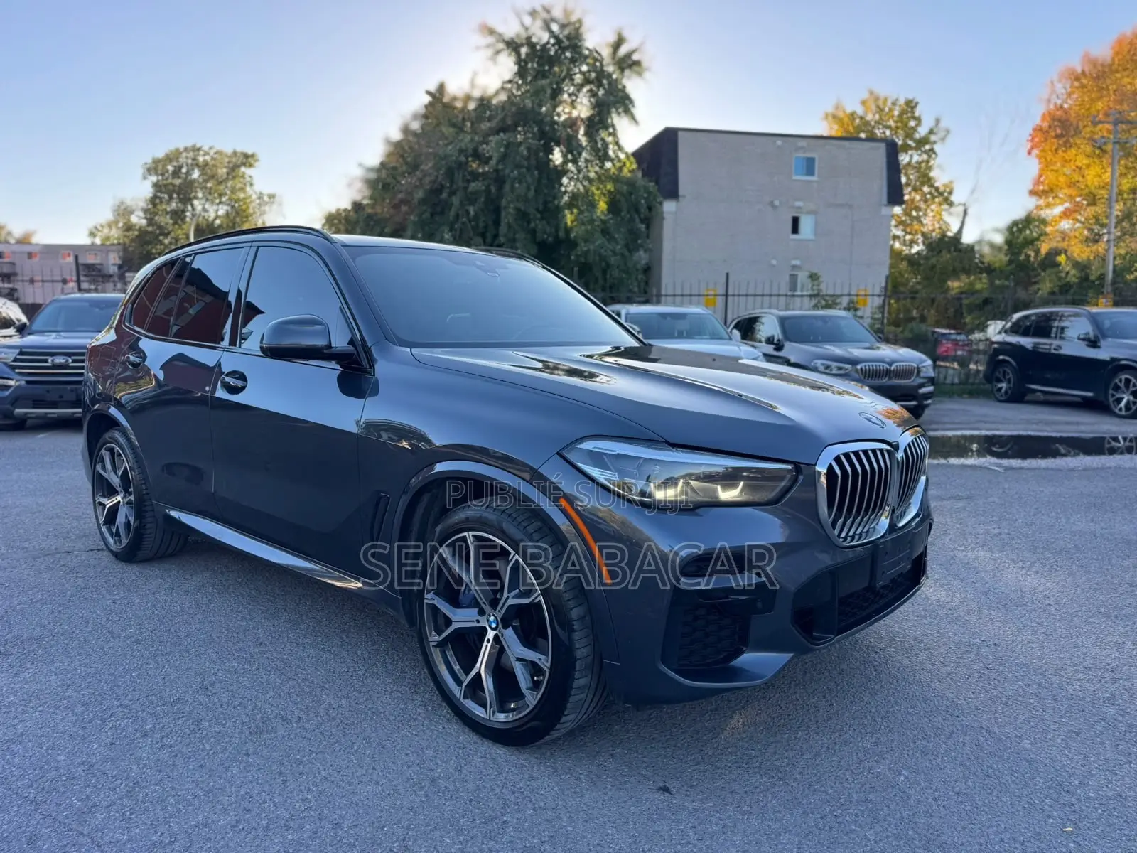 BMW X5 sDrive40i 2023 Gris