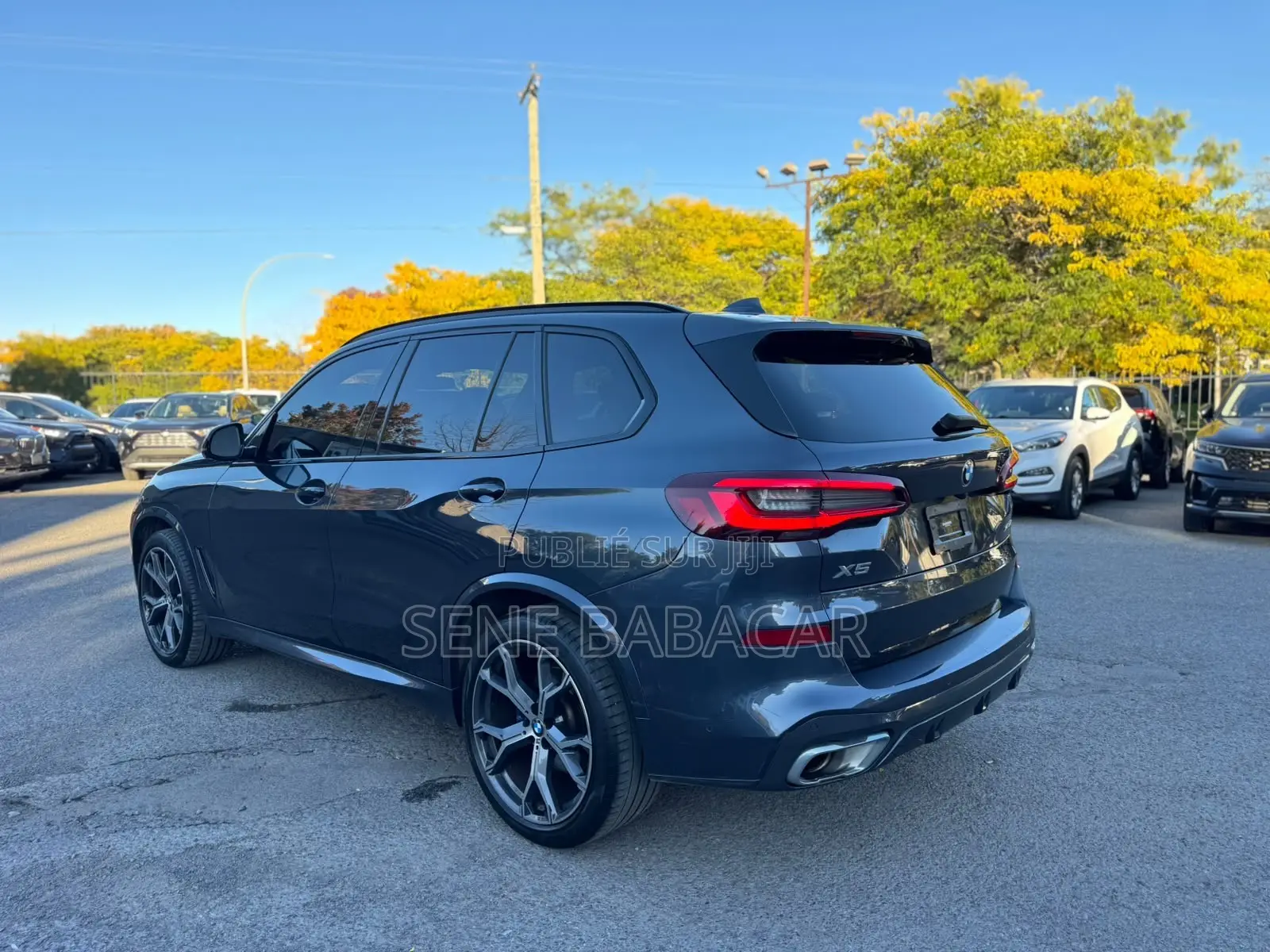 BMW X5 sDrive40i 2023 Gris