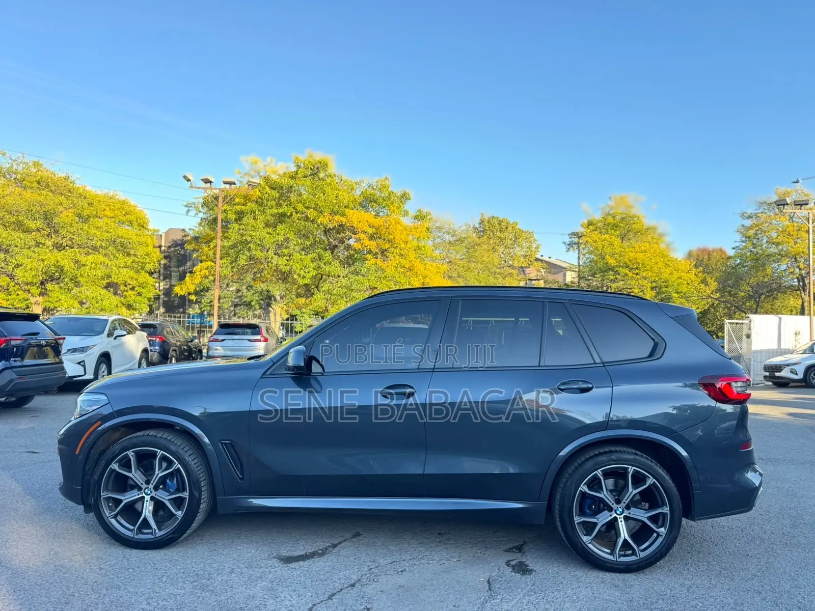 BMW X5 sDrive40i 2023 Gris