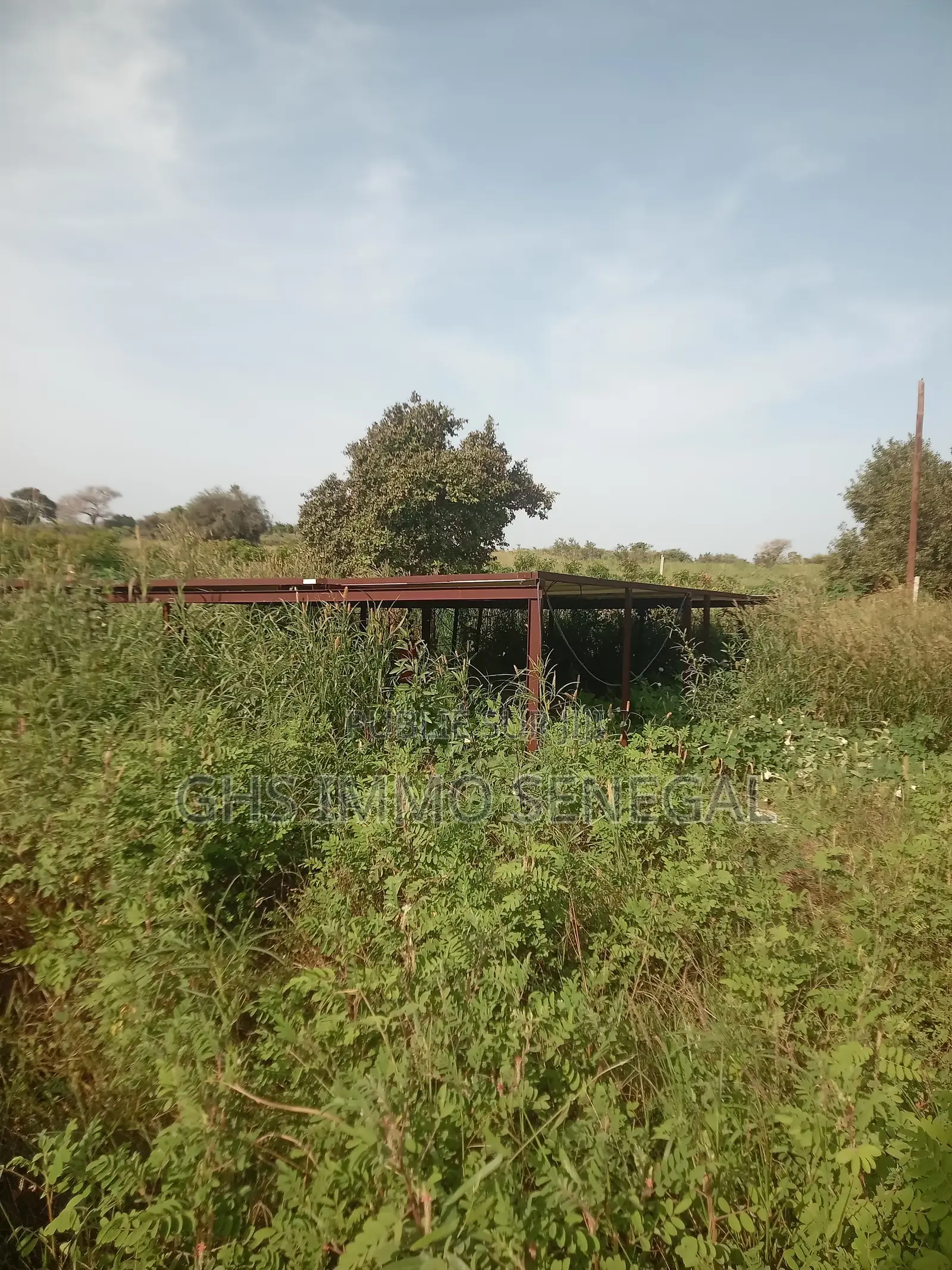 Vente d'Un Exceptionnel Verger De 7 Hectares À Tivaouane
