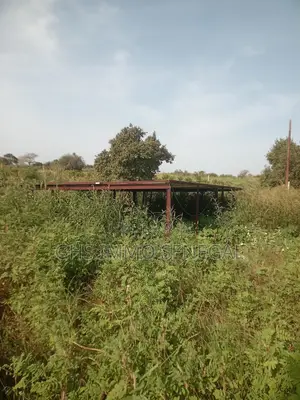Vente d'Un Exceptionnel Verger De 7 Hectares À Tivaouane