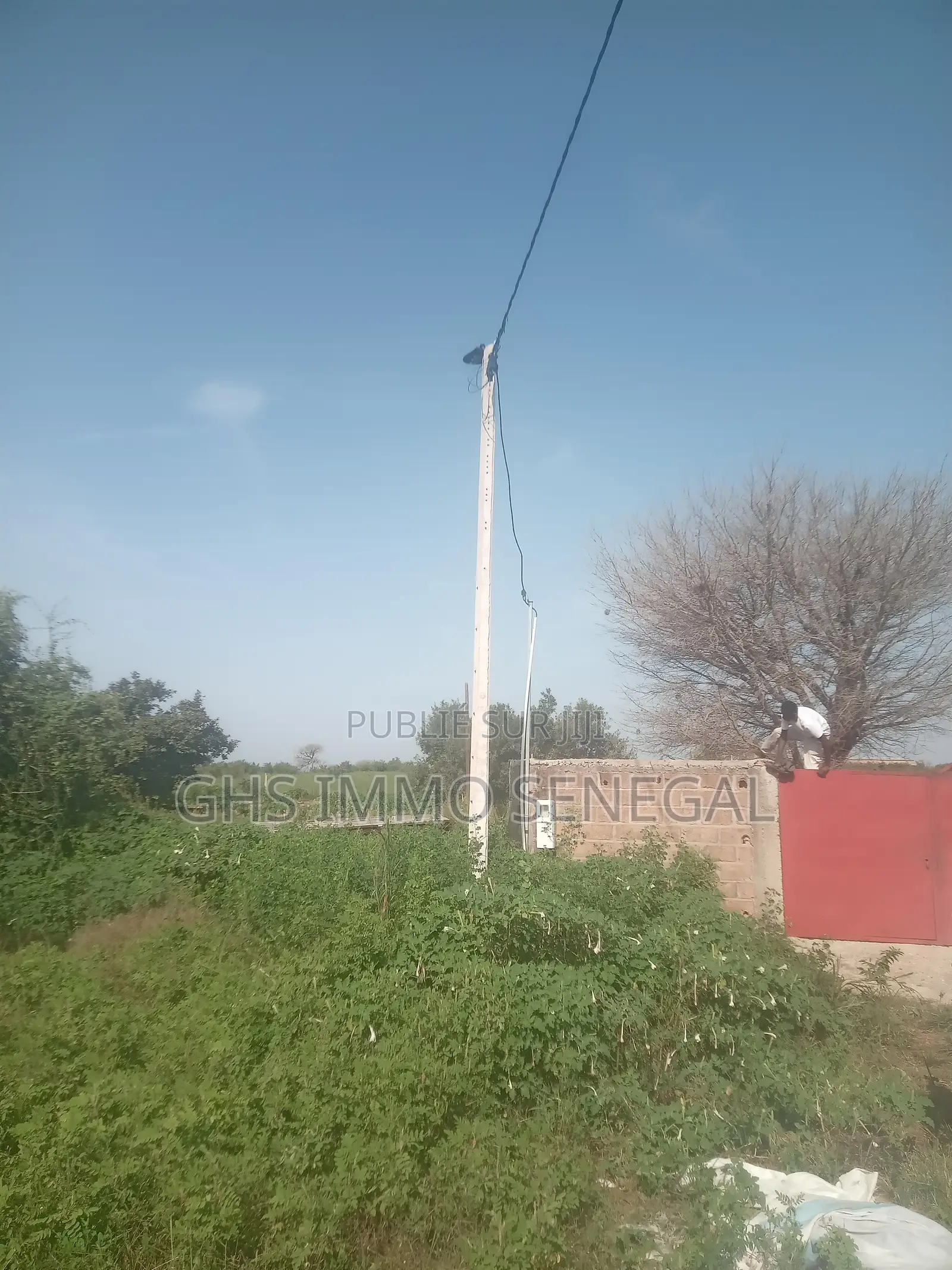 Vente d'Un Exceptionnel Verger De 7 Hectares À Tivaouane