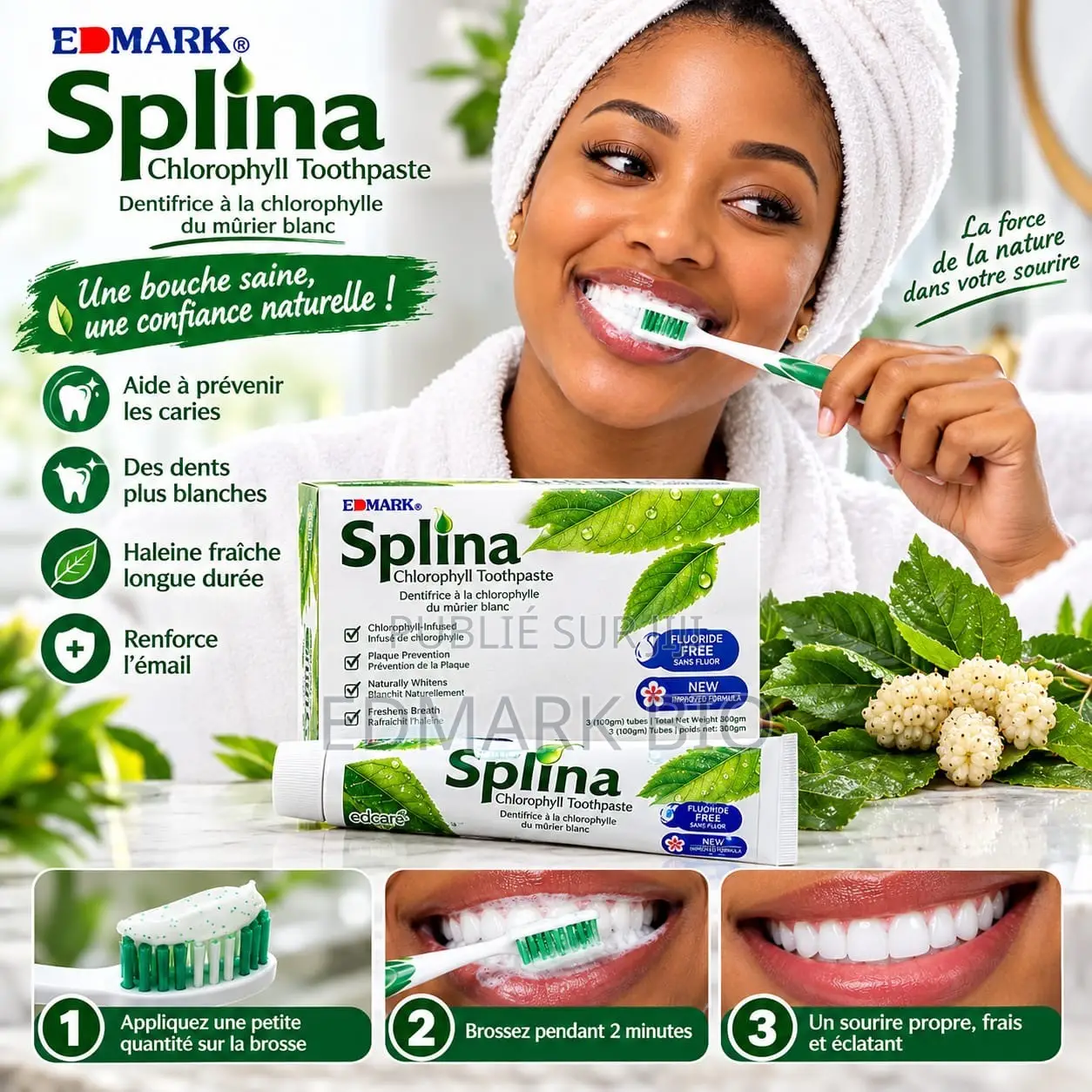 Splina Dentiste