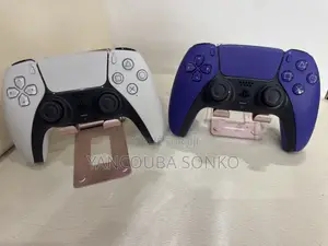 Lot Des Deux Manettes. PS5 Testé Et Fonctionnel.