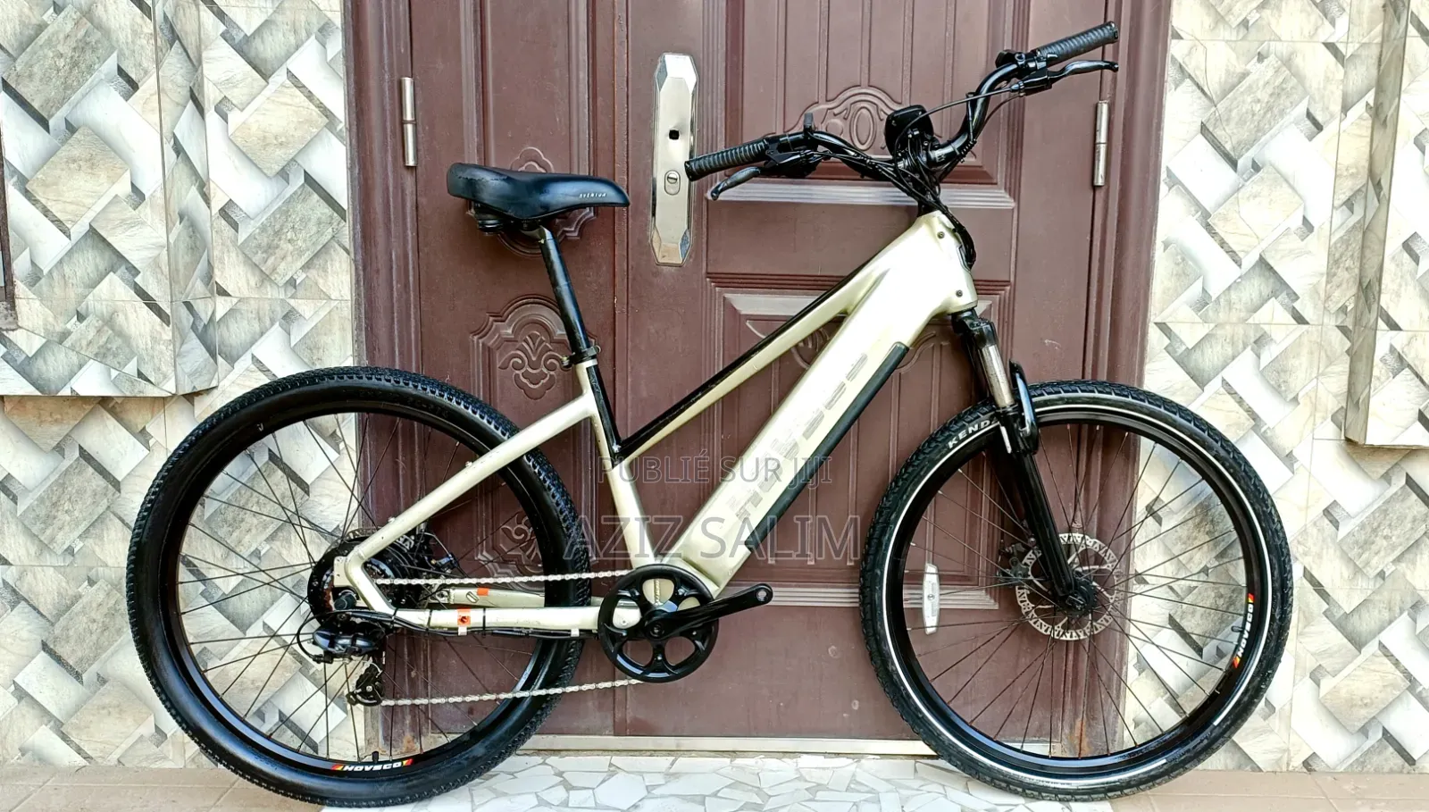 Electric Bike HOVSCO