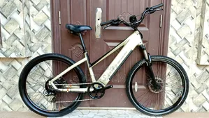 Electric Bike HOVSCO