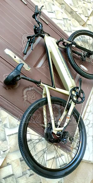 Electric Bike HOVSCO